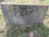 image of grave number 790147